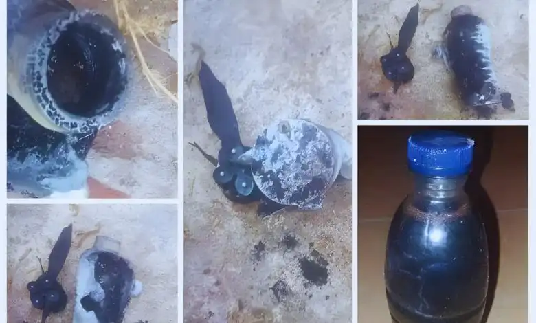 الجيش : الدعم السريع يستخدم غازات سامة في الفاشر - انباء السودان